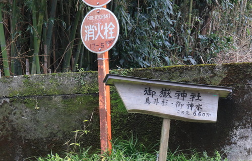 IMG_1208(1)