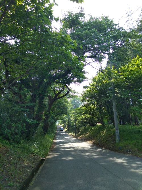 IMG_20200512_153236_BEAUTY