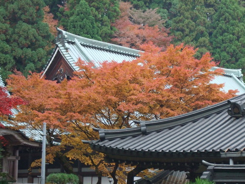 2007_1202¹ä»Ë¾»»Òº§Ìó0112