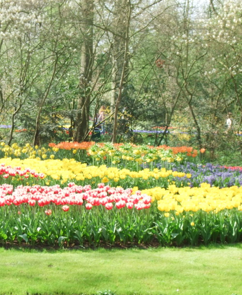2007_0417オランダ0611