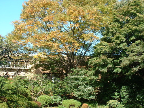 2007_1004¾®Åĸ¶ÈͶ£²0029