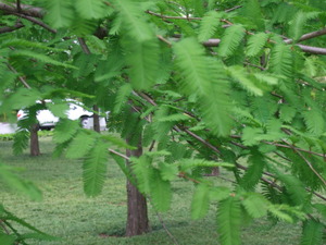 2012_0520�����ҥӡ���0008