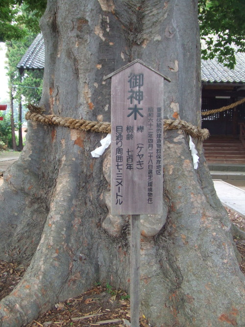 2006_0808�򺬻�0019