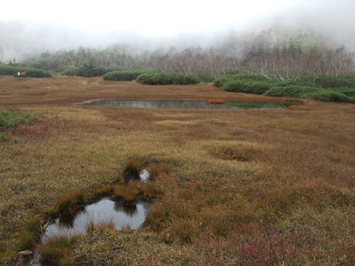 2007_1017��������0166