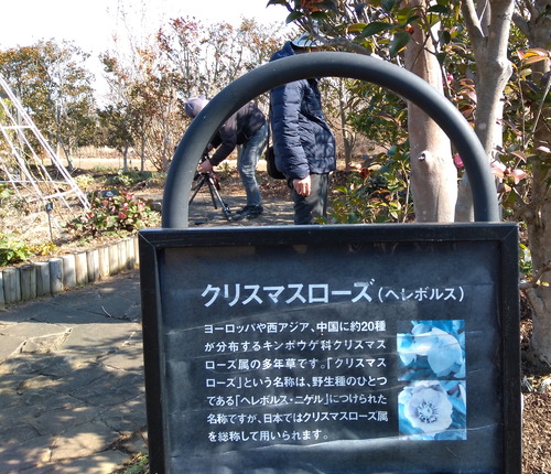 IMG_20210207_110121