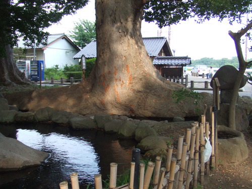 2006_0808�򺬻�0020