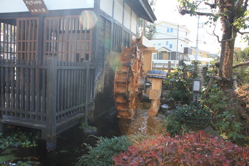 ���ĸ����Ķ� (31)