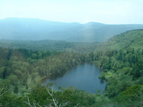 DSCF0003