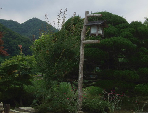 DSCF0665