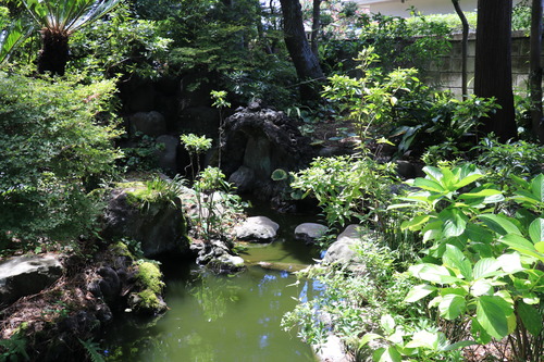 IMG_9566 - ���ԡ�