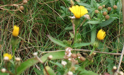 2007_0924��ʸ����������0121