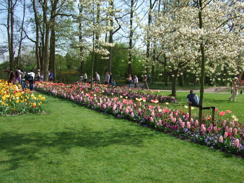 2007_0417オランダ0603
