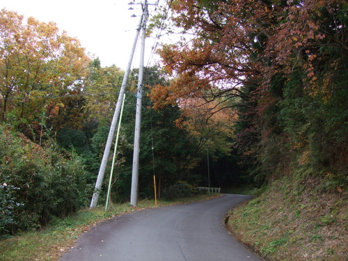 2007_1202¹ä»Ë¾»»Òº§Ìó0010