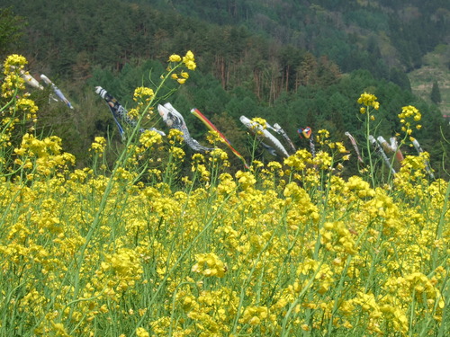 2007_0509¿®½£0148