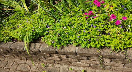 IMG_20200831_102447(1)