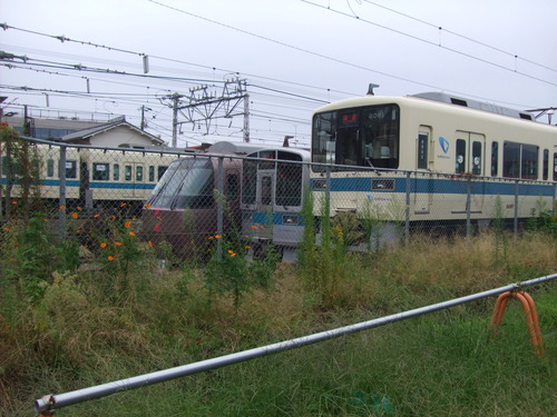 2012_1017丘陵古墳群0106