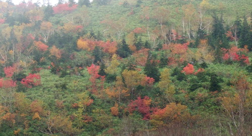 2007_1017��������0165