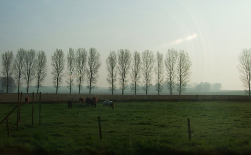 2007_0417オランダ0361