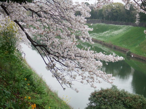 2008_0402H19��0077