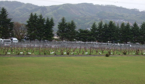 2007_0509¿®½£0052