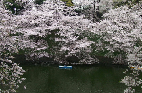 2008_0402H19��0127