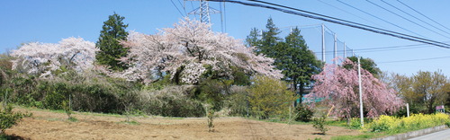 ĹÀô±¡Æþ¸ý¹çÀ®