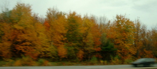 2005_1020첽ٻΥե०0003