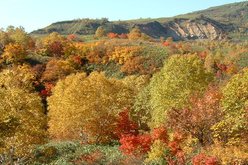 DSCF0003-1