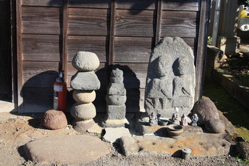 ���ĸ����Ķ� (48)