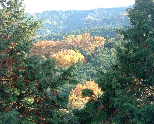 2007_1202Ƴλºµ¢¤êGH0031