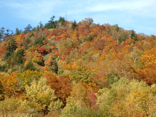 DSCF0047