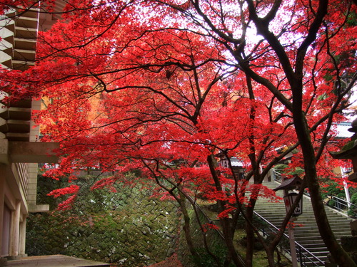 2007_1202¹ä»Ë¾»»Òº§Ìó0120