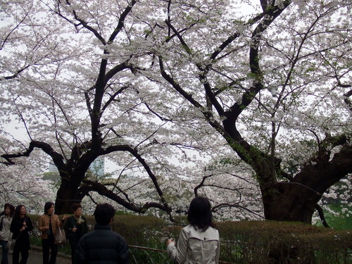 2008_0402H19��0086