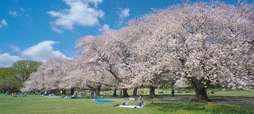 この公園について_トップ-thumb-628xauto-36124
