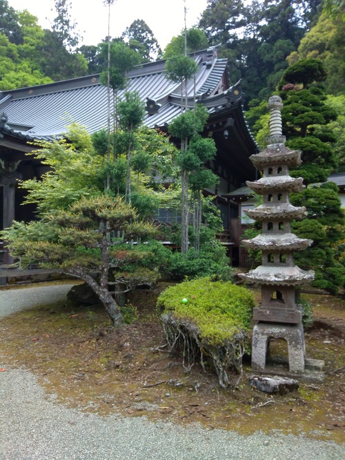 IMG_20200512_162144_BEAUTY