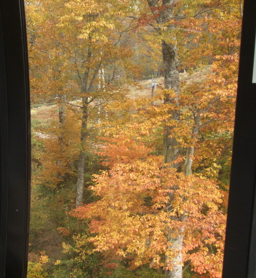 2007_1017��������0114