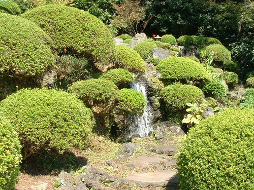 DSCF0025