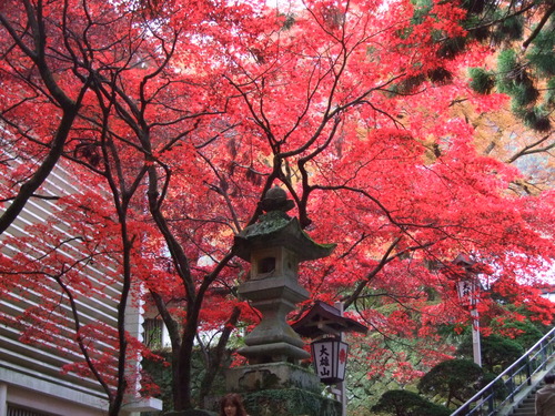 2007_1202¹ä»Ë¾»»Òº§Ìó0068