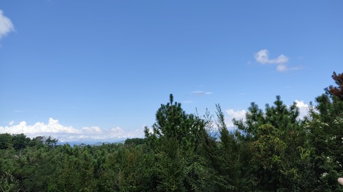 IMG_20240912_112843
