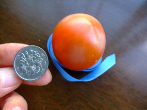 2011_0623���奦��0021