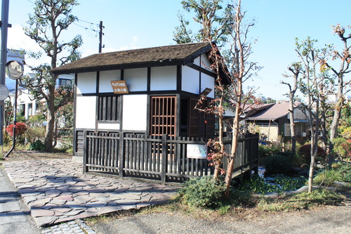 ���ĸ����Ķ� (27)