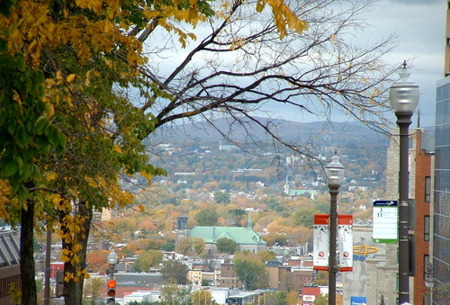 2005_1020첽ٻΥե०0023