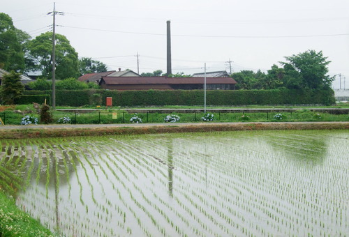 2011_0609³«À®Ä®ÃµË¬0040