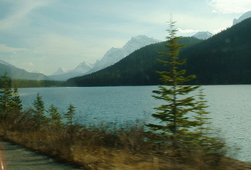 2005_1024�Σ�30081