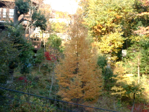 2007_1202Ƴλºµ¢¤êGH0037