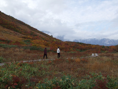 2007_1017白馬栂池0075