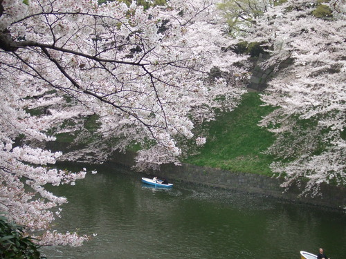 2008_0402H19��0124