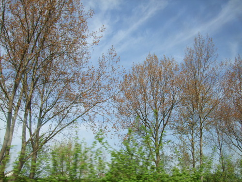 2007_0417オランダ0562
