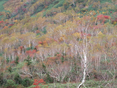 2007_1017��������0144