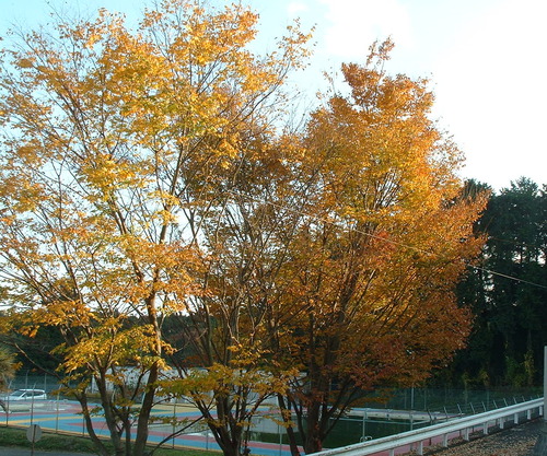 2007_1202Ƴλºµ¢¤êGH0053